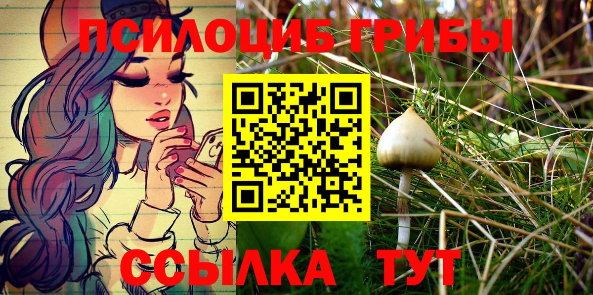 Уварово  Псилоцибиновые грибы Cubensis  Вход с VPN 