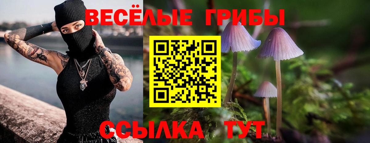 Псилоцибиновые грибы GOLDEN TEACHER Уварово